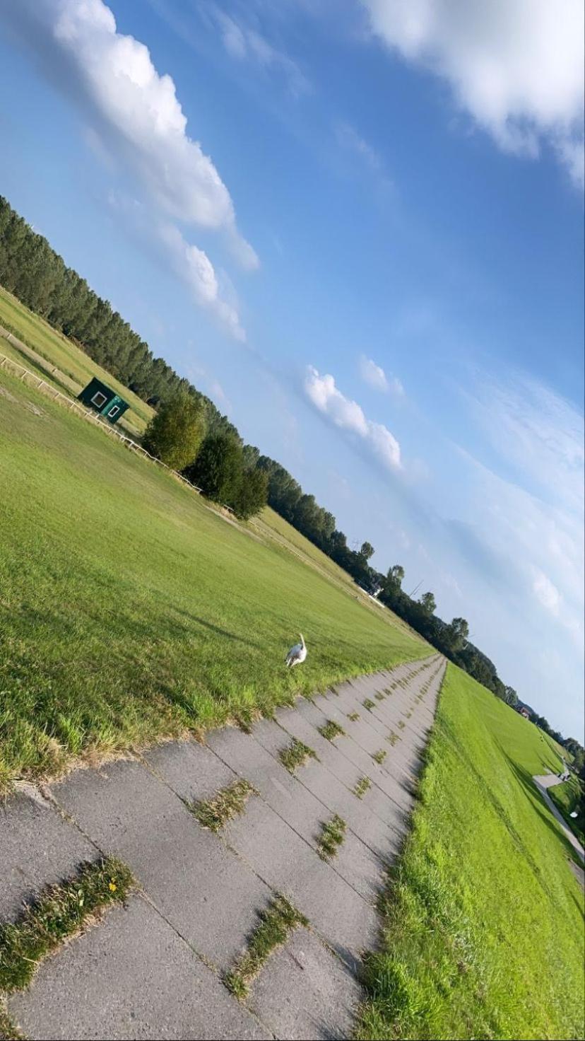 Strandhaus Nina - Ferienhaus Hooksiel Zewnętrze zdjęcie
