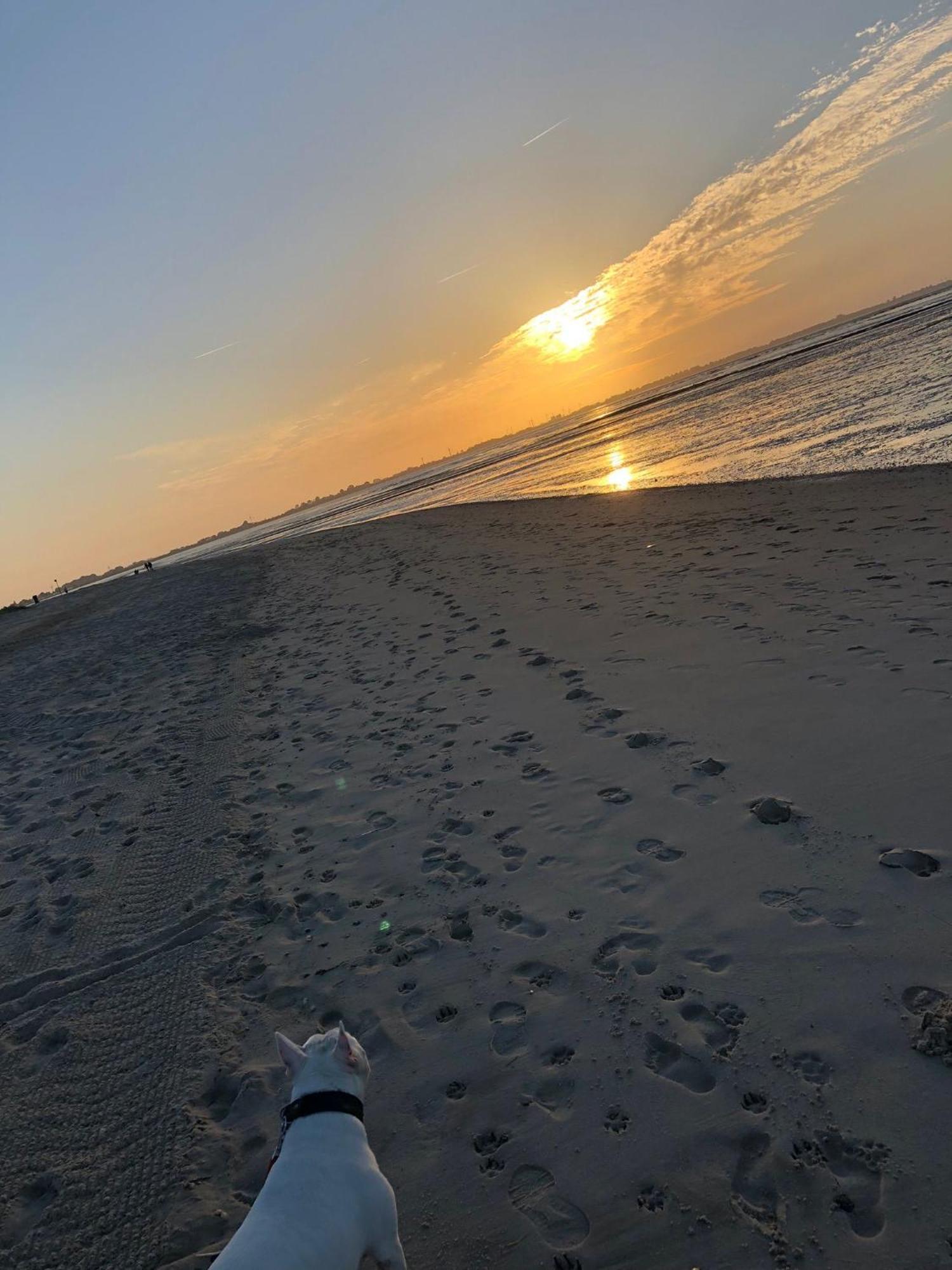 Strandhaus Nina - Ferienhaus Hooksiel Zewnętrze zdjęcie